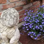 The Green House Bed and breakfast Kołczewo